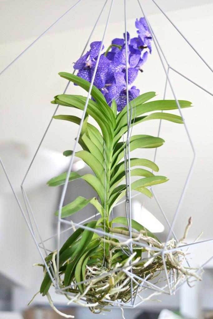 orkidea_interiordesign_decoration_yellowmood_hannamarirahkonen_diy_flowers 1