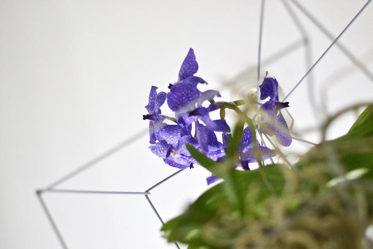 orkidea_interiordesign_decoration_yellowmood_hannamarirahkonen_diy_flowers 5
