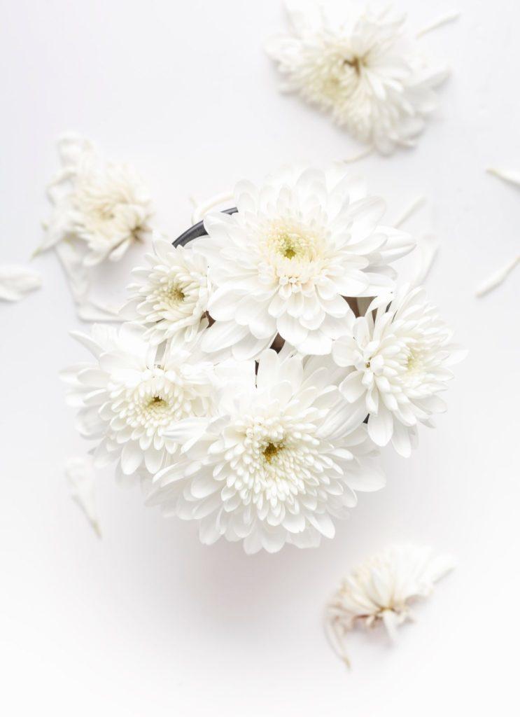 Jolie Spa valkoiset kukkaset